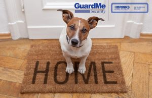 Love your dog buy still get home security