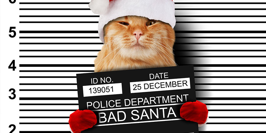 5 Tips To Foil The Cat Burglar This Holiday Season.