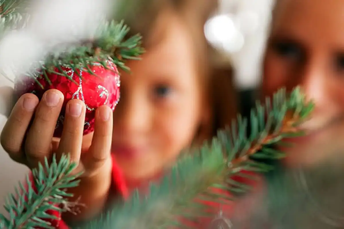Christmas tree ornaments